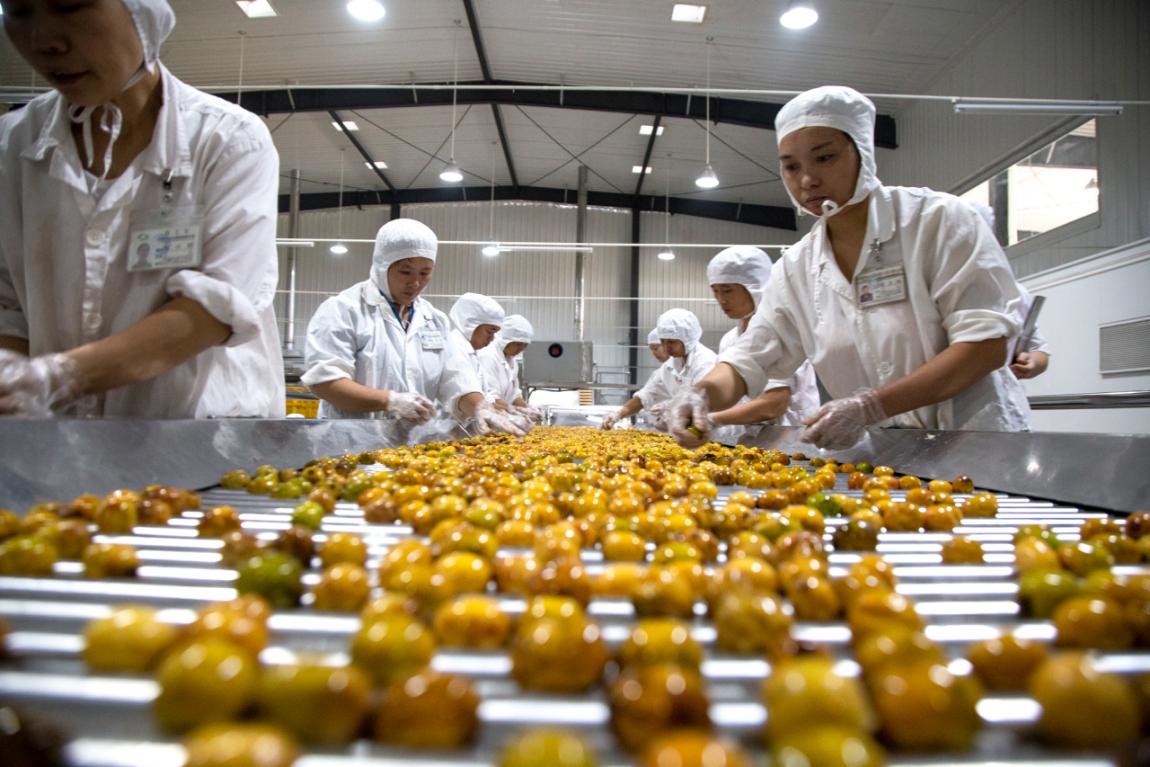 堅(jiān)守綠色初心，鑄就品質(zhì)傳奇——揭秘一家企業(yè)如何讓產(chǎn)品連續(xù)24年通過“綠色食品”認(rèn)證